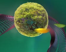 Молекулярно-генетические и биотехнологические подходы для селекции растений